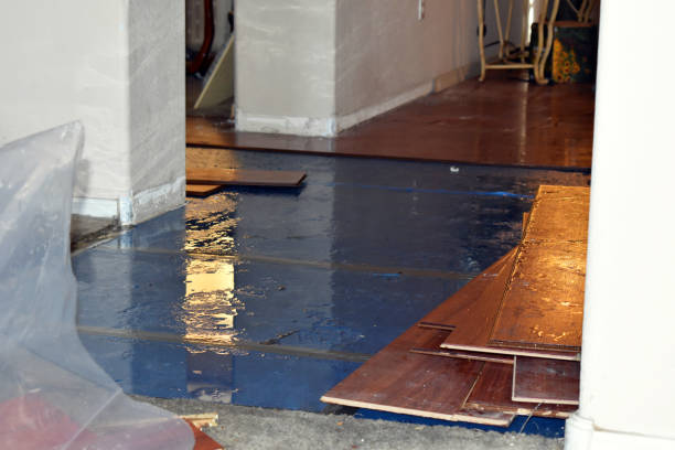Professional Water Damage Restoration technician working in Mesa, WA