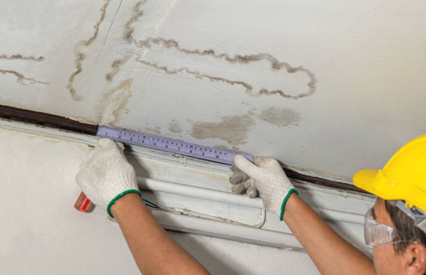 Reliable Water Damage Restoration contractor in Mesa, WA by Water Damage Irwin
